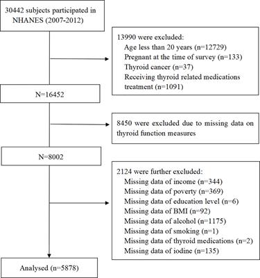 Association between vitamin C intake and thyroid function among U.S. adults: a population-based study